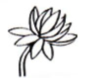 कमलको फूल